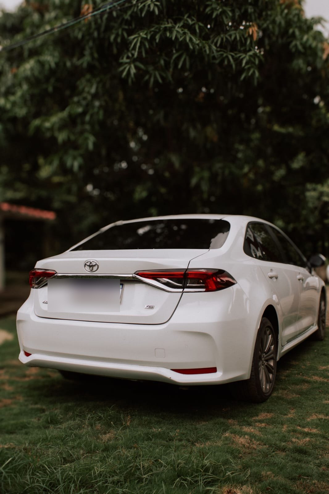 Toyota Corolla Executivo com placa desfocada